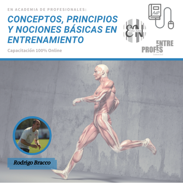 COMBO CURSOS ENTRENAMIENTO ENTRE PROFES - Imagen 2